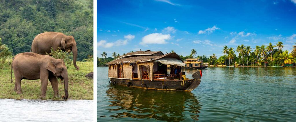 Which are the best tour packages for Kerala?