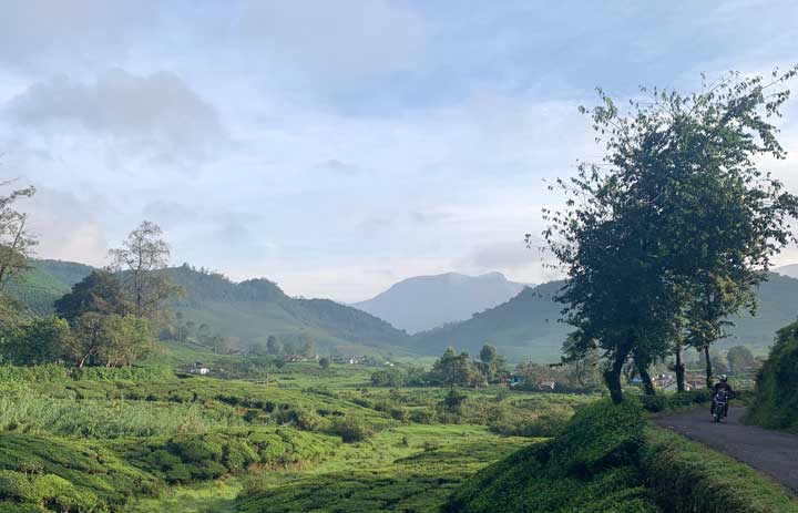 Top 5 Honeymoon Spots in Kerala