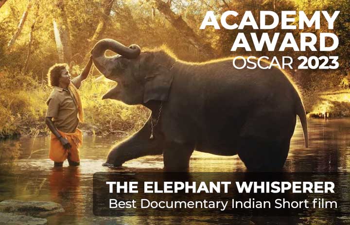 Where is the Oscar Winning 'Elephant Whispers' Documentary shot?