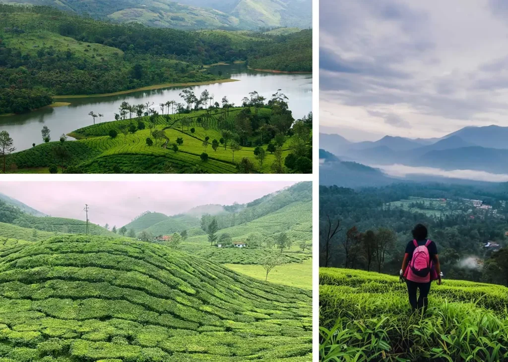 Kerala’s Hidden Gems in the Western Ghats: A Comprehensive Traveller’s Guide for A Memorable Kerala Trip