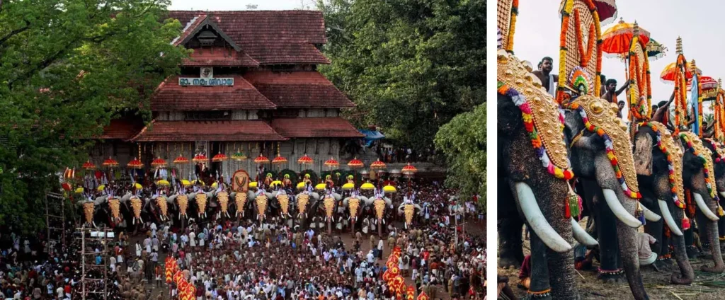 Thrissur Pooram – The Grandest Elephant Festival in God’s Own Country
