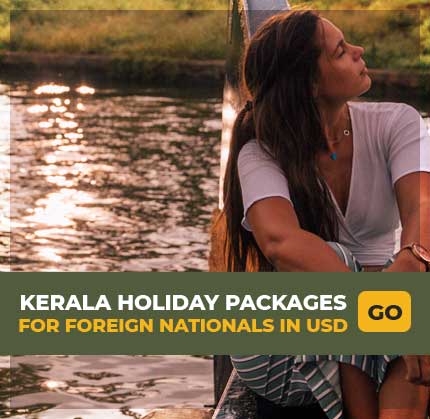world tour packages from kerala