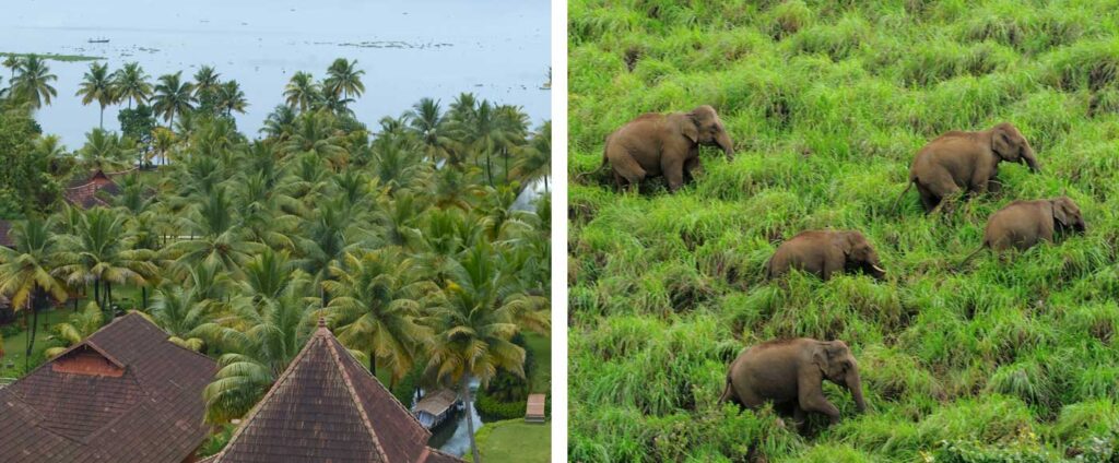 Things to Do While you're on your Kerala Honeymoon