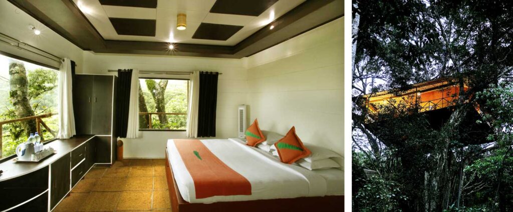 Kerala Honeymoon Packages, Resorts, Things to Do